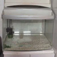 آکواریوم شرکتی خارجی سبک درب دار و لوازم معاوضه