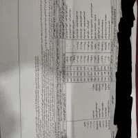 ضامن فیش حقوقی یرای دادسرا و دادگاه