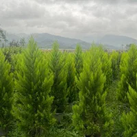 استخدام کارگر با حقوق + سکونت رایگان