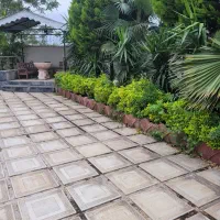 یک-قطعه-زمین-داخل-بافت