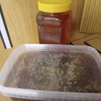 عسل ارگانیک ۱۰۰درصد طبیعی