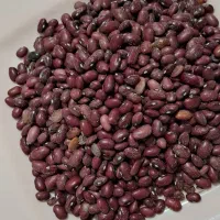 لوبیا قرمز