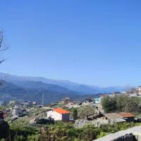سوادکوه -سرخکلا تپه ۲۷۱ متر سند دار با پروانه ساخت