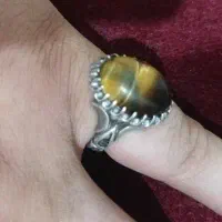 چشم ببر