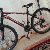 دوچرخه