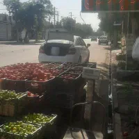 گوجه ربی لیمو ترش