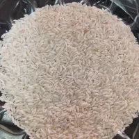 برنج دورود|خوردنی و آشامیدنی|قرچک, شهرک طلائیه|دیوار