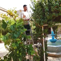 باغبانی.گل کاری.نگهداری