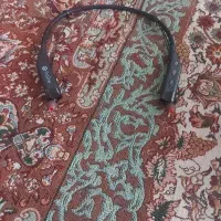 هنسفری