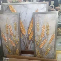توضیحات صورتی