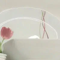 ظروف چینی و آرکوپال
