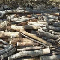 خدمات  انواع چوب  باغی سقفی ابزاری بابالاترین قیمت