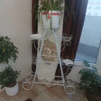 استند گل