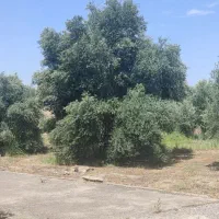 ویلا و خونه باغ مسکونی طارم