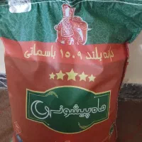 برنج ماه پیشونی