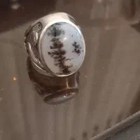 انگشتر نقره شجر کلکسیونی