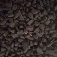 تخمه آفتابگردان