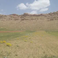 زمین کشاورزی