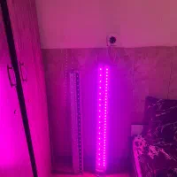 چراغ رشد گیاه مخصوص گل خانه