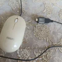 موس فیلیپس