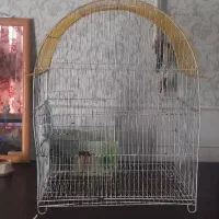 قفس پرنده