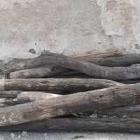 چوب گز|گل مصنوعی|خورموج, |دیوار