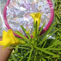 دستگیره پارچه‌ای آشپزخانه دست‌دوز