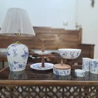 سرویس پذیرایی خاص و شکیل پرستو ابی