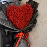 گل عروس یک متری زیبا بهترین هدیه