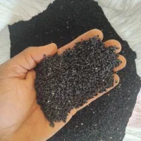 بذر پیاز سفید و قرمز