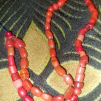 مهره های مرجان کهنه