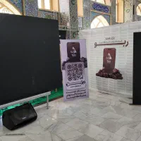 فروش دامنه ربو