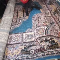 یک جفت فرش12  نوه نوه