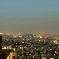 استخدام سنگکار