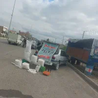برنج هاشمی درجه ۱