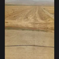 پرس گندم