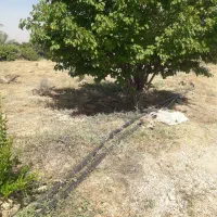 تعدادی لوله پلی اتیلن ۵۰انچ۶۴ایچ۷۵اینچی دست دوم