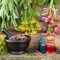 آموزش رایگان طب سنتی به بانوان
