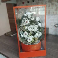 گل مصنوعی باکس شیشه ای