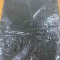 پادری دو رو