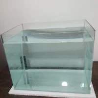 شیشه خم آکواریوم