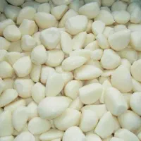 سیر پوست کنده درجه یک