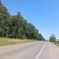 300-متر-سند-تک-برگ-بردوم-شهرک-ساماندهی