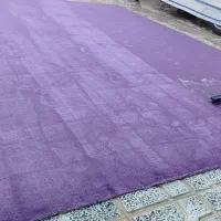 پالاز موکت