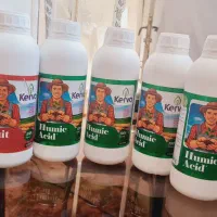 خاک شما زنده است، اما شوری آن را خفه کرد
