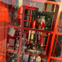 نیروی مسلط به کافی نت