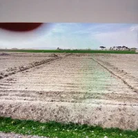 زمین کشاورزی