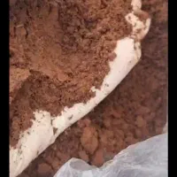 فروش پودرخون وگوشت دام وطیور وجوجه وخرما