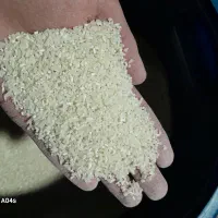 برنج دودی هاشمی به شرط پخت