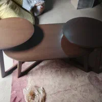 تعداد نجار نیم ماهر ورنگ کار زیرکار زن د